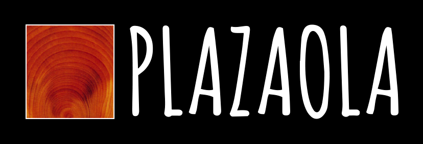 Plazaola Turismo