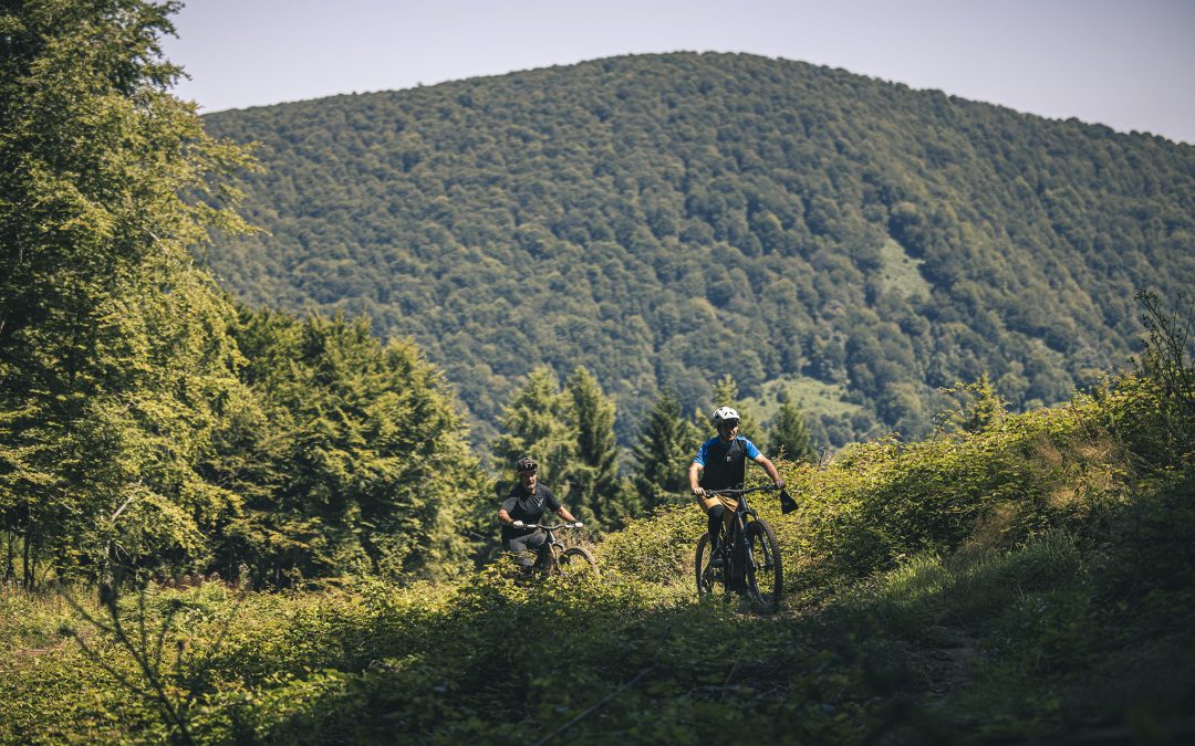 Ipartrails