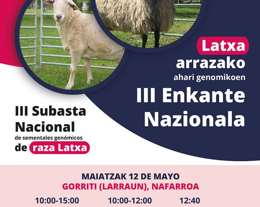 III Enkante Nazionala Gorritin