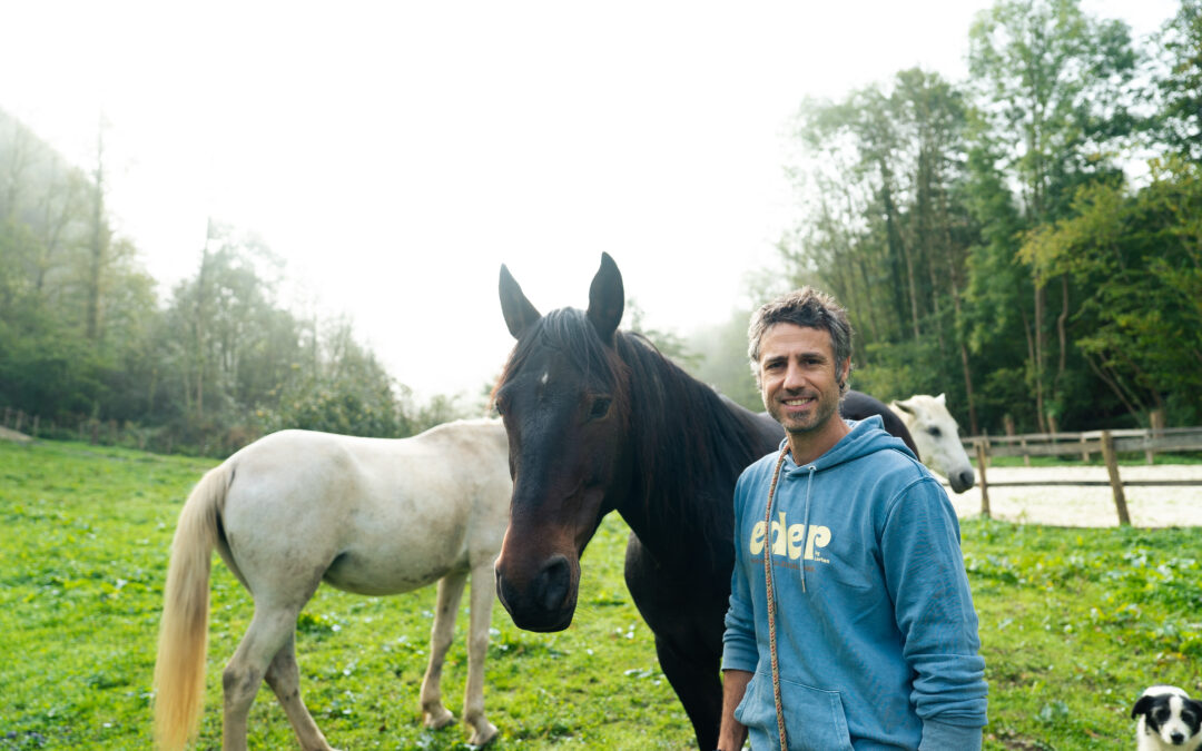EQUINO AUKERA