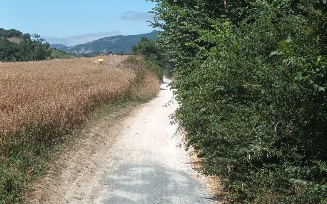 TRABAJOS DE LIMPIEZA EN LA VÍA VERDE ENTRE SARASA Y AIZKORBE