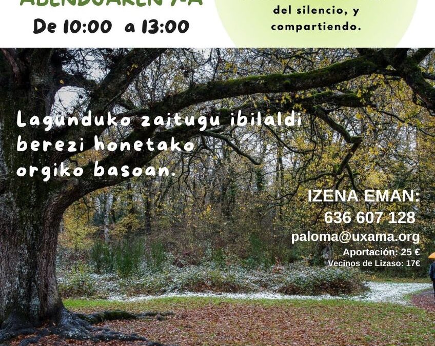 BOSQUE & MINDFULNESS