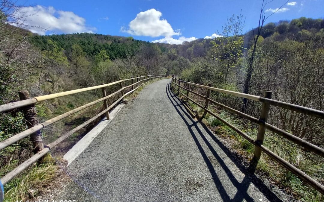 VÍA VERDE DEL PLAZAOLA: OBRA FINALIZADA, TRAMO ABIERTO