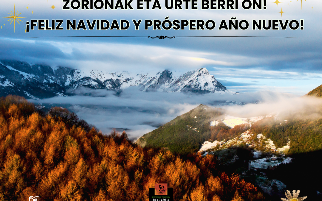 ZORIONAK ETA URTE BERRI ON! ¡FELIZ NAVIDAD Y PRÓSPERO AÑO NUEVO!